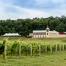 winery