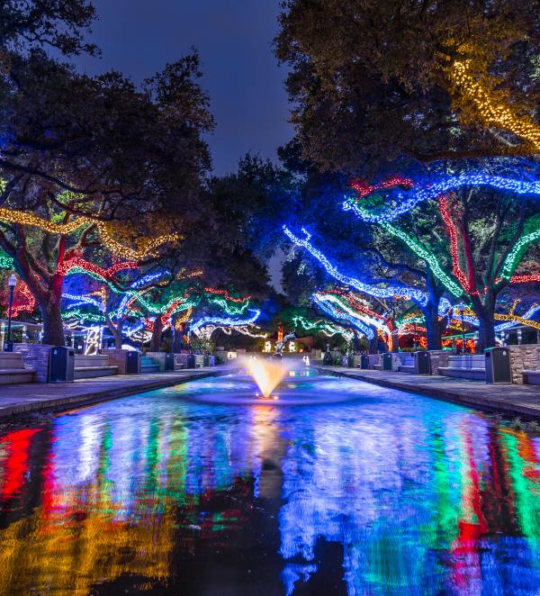 Your Guide To November