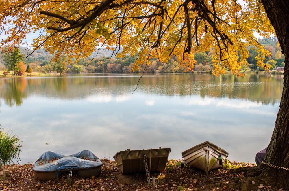 Asheville 2019 Fall Color Report Forecast Scenic Views
