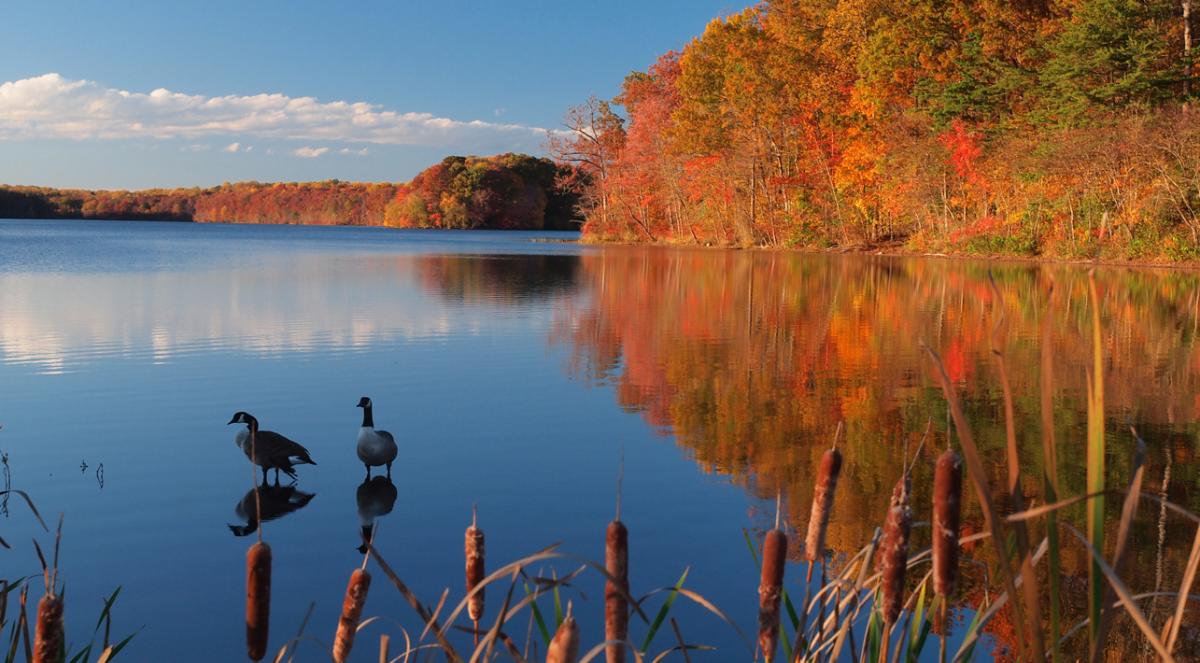 Burke Lake Park