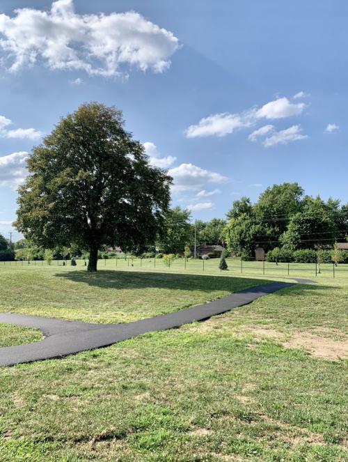Trees provide shade at Kitty Hawk/Menlo Dog Park in Dayton, OH.