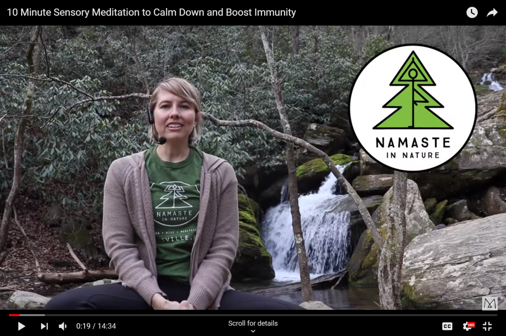 Screen shot of Namaste in Nature YouTube video series