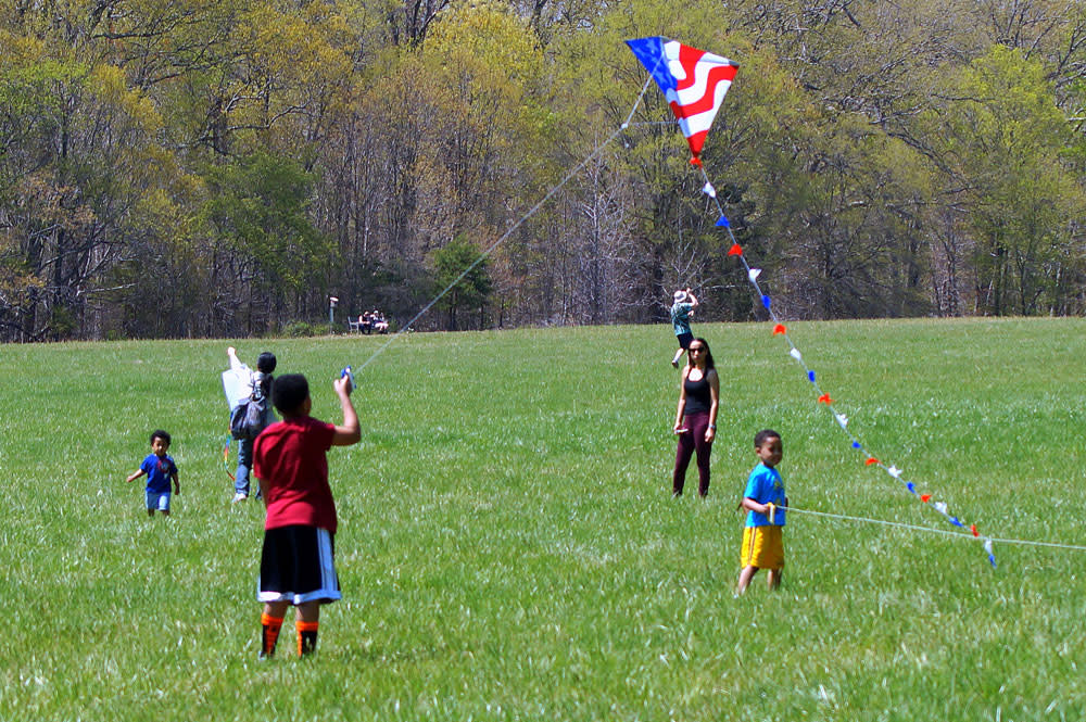 Gunston Hall Kite Festival image