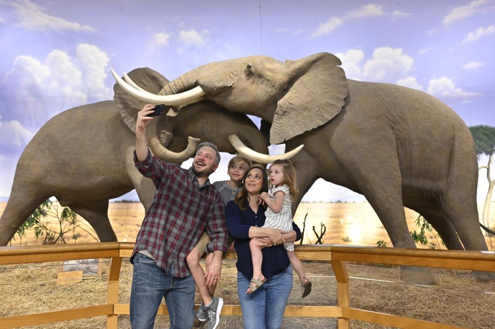 Cabela's Safari