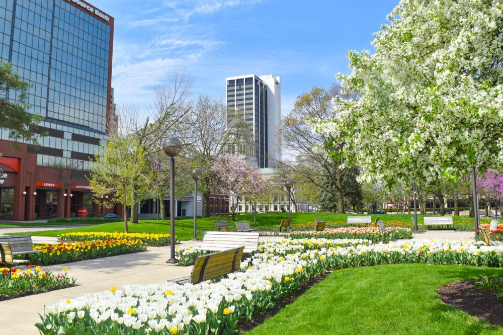 Freimann Square in spring