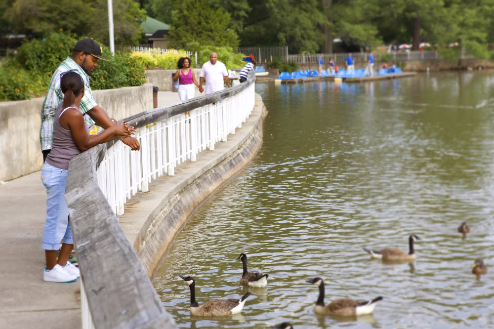 Visitors watch the ducks swimming at Pullen Park in Raleigh, NC.