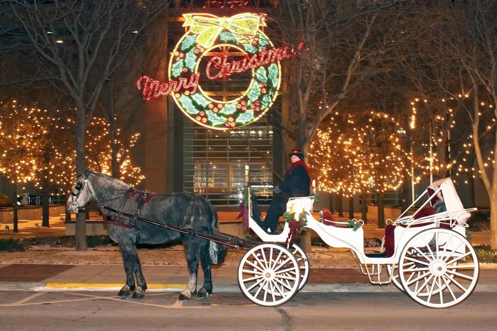 Rosewood Carriage Rides