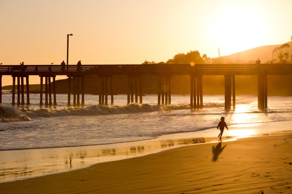 Dog Friendly Beaches in San Luis Obispo County Dog Friendly SLO