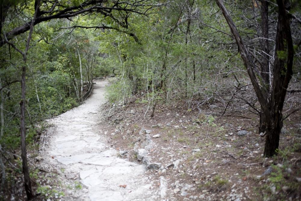 Wild Basin Preserves Woodland Trail in Austin Texas