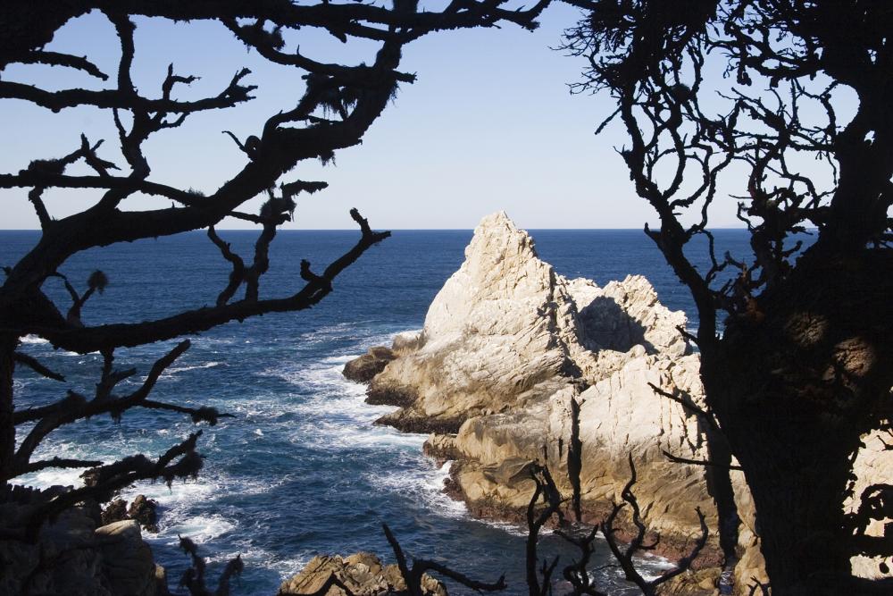 Point Lobos