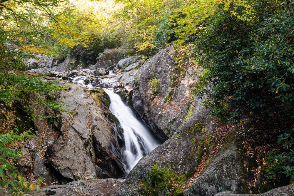 Asheville 2019 Fall Color Report & Forecast Scenic Views Asheville