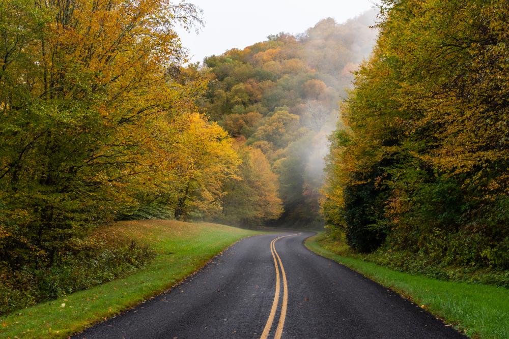 Asheville 2019 Fall Color Report & Forecast Scenic Views Asheville