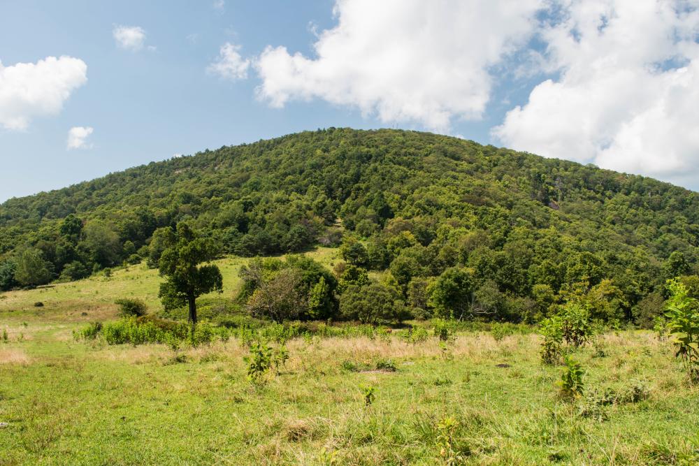 Little Bearwallow Mountain on Wildcat Rock Trail