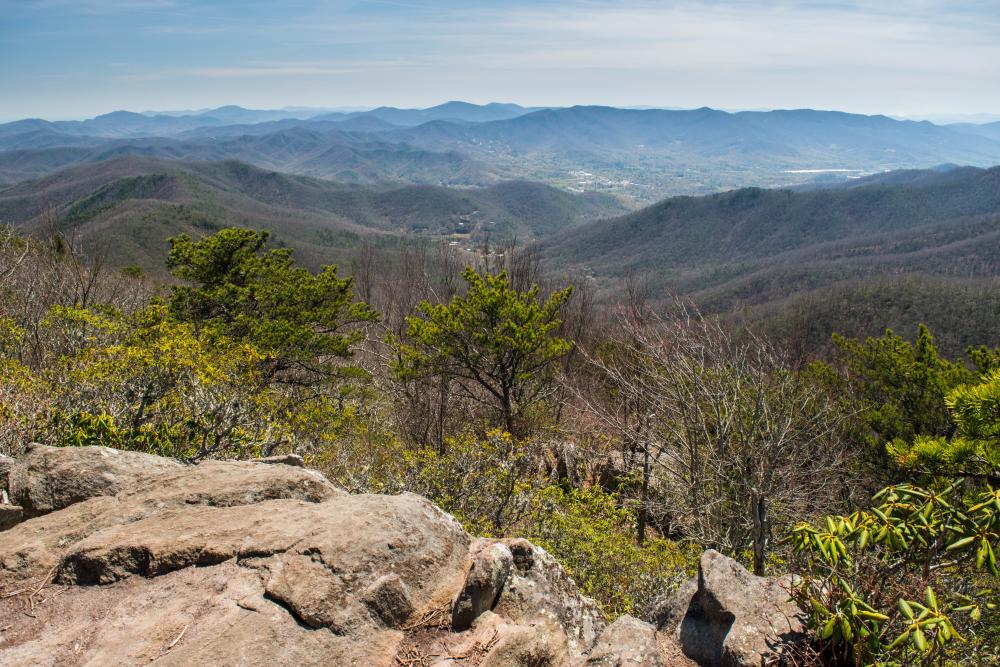 Graybeard Mountain Trail