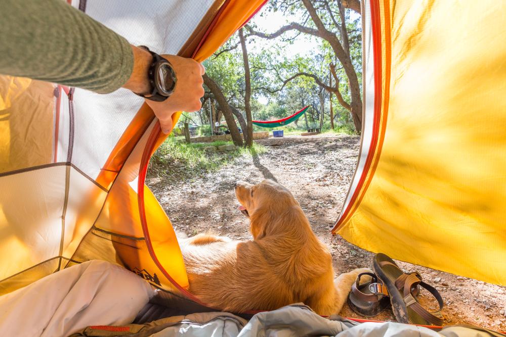 man and dog tent camping at inks lake state park near austin texas