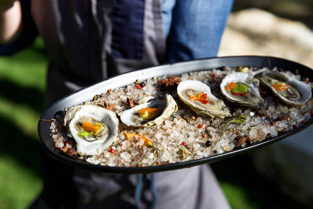 oysters from contigo catering in austin texas