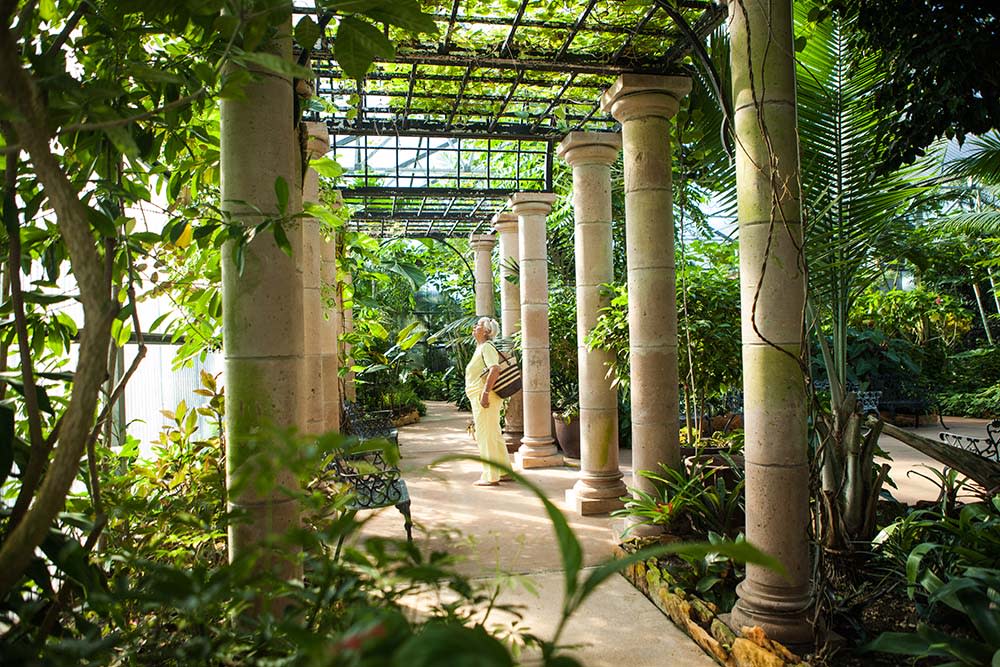 Beaumont Botanical Gardens canopy