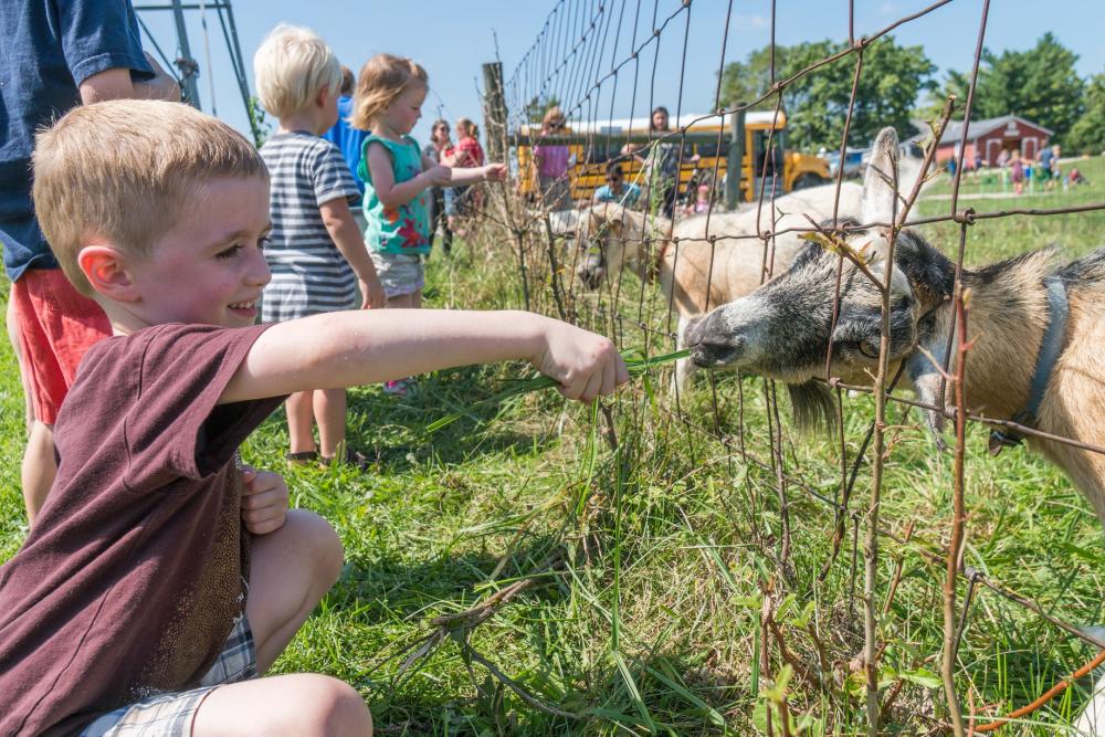 Children feeding the Salomon Farm Park Goats