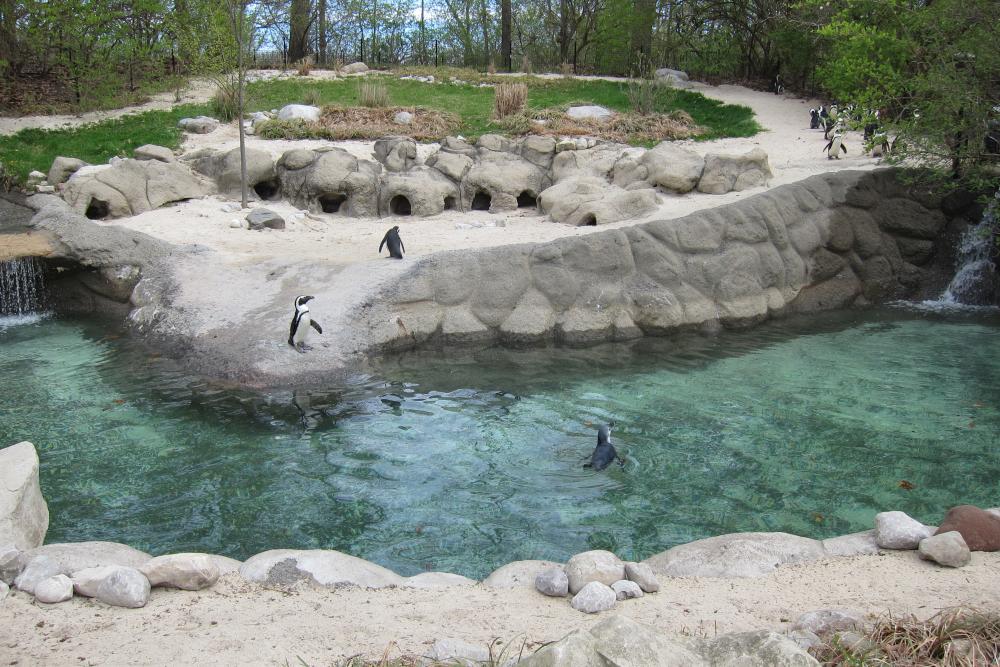 New at the Fort Wayne Children's Zoo in 2019 Visit Fort Wayne