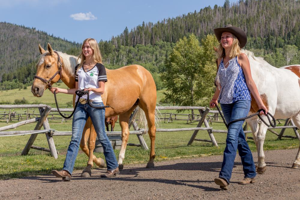 Young girls walk two horses on the Ranch