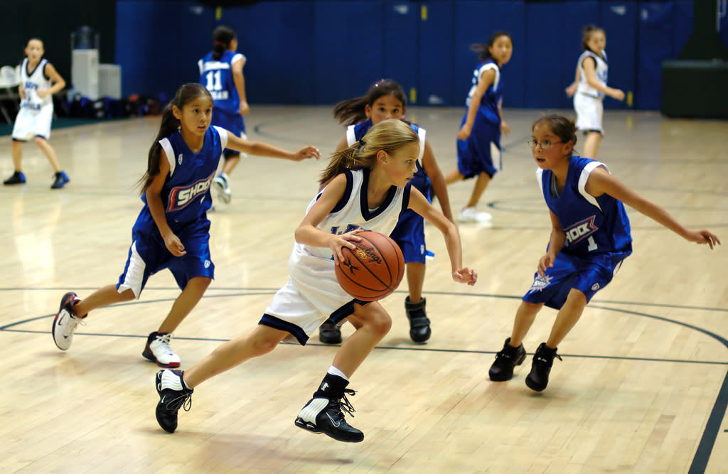 2019 Michigan Aau State Girls Basketball Championship