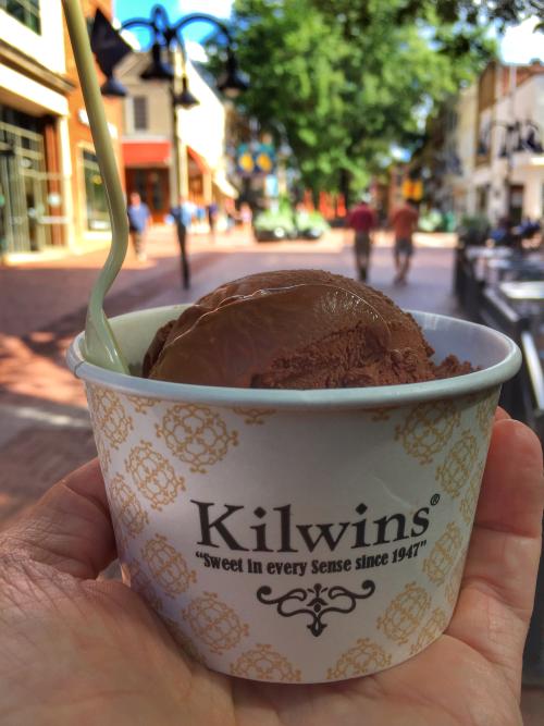 11 Places to Enjoy National Ice Cream Month in Charlottesville, VA.