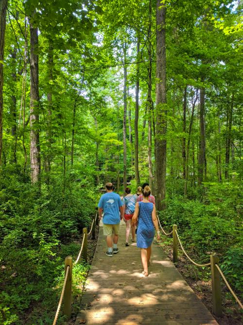 Carolina Raptor Center trail