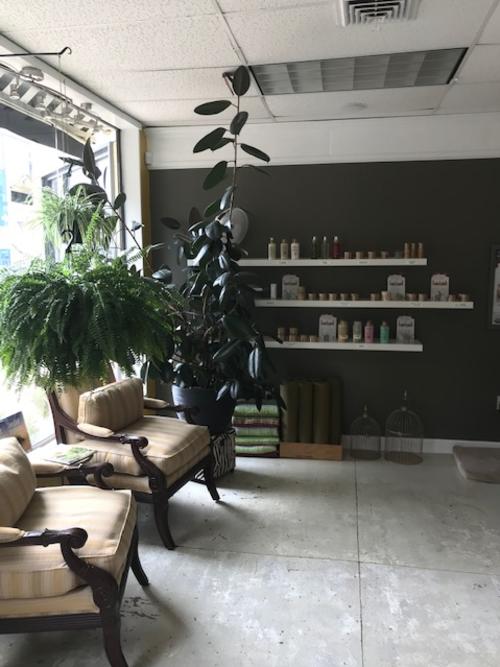 The Beauty Tree Holistic Day Spa