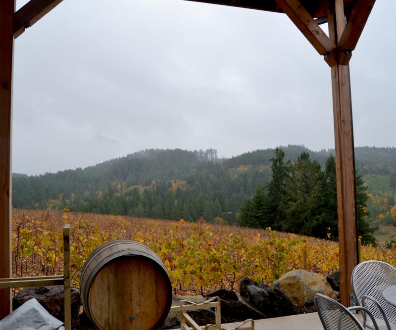 High Pass Winery by Sally McAleer High Pass Winery by Sally McAleer