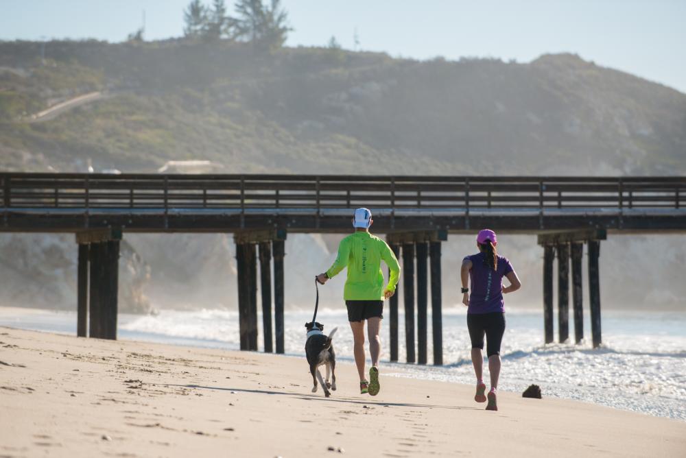 Dog Friendly Beaches in San Luis Obispo County Dog Friendly SLO