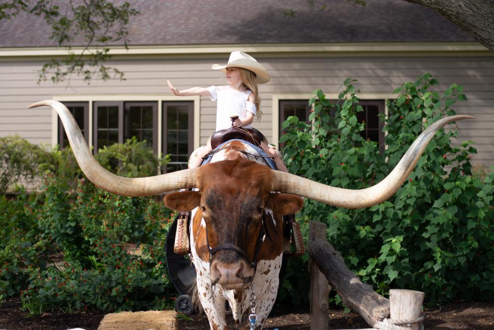 Child sitting on Longhorn at  Hyatt Regency Lost Pines Resort and Spa near austin texas