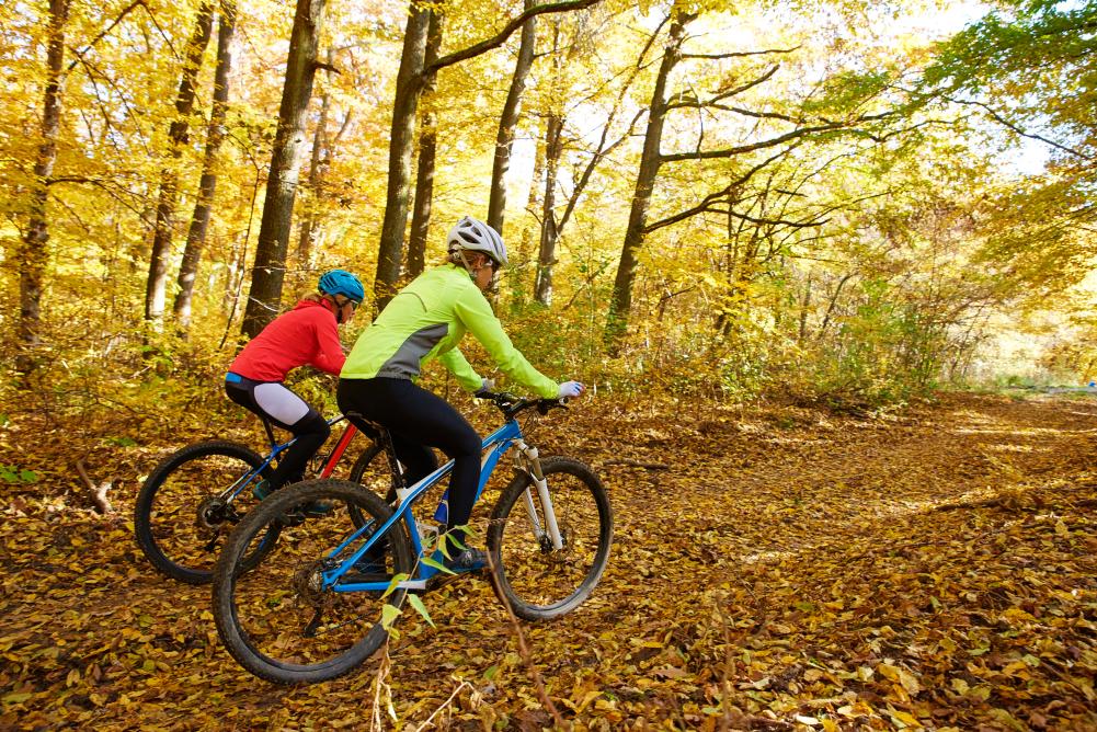 Fall Biking