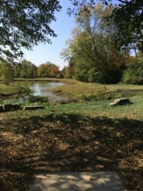 Lake And Trees At Stubbs Park In Centerville, OH