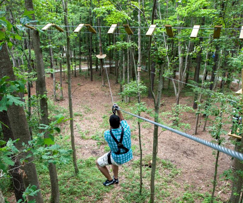 Located in the majestic trees of the aquarium, between the Marsh Pavilion and the Bay and Ocean Pavilion, you will find an amazing aerial forest adventure park. With 13 trails with difficulties ranging from beginner to expert, visitors can challenge themselves on individual or team levels.Virginia Tourism Corporation, www.Virginia.org