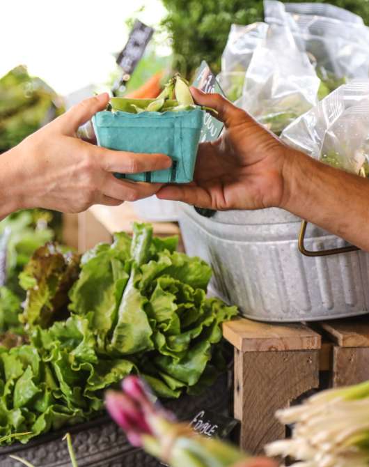 Farmers Market