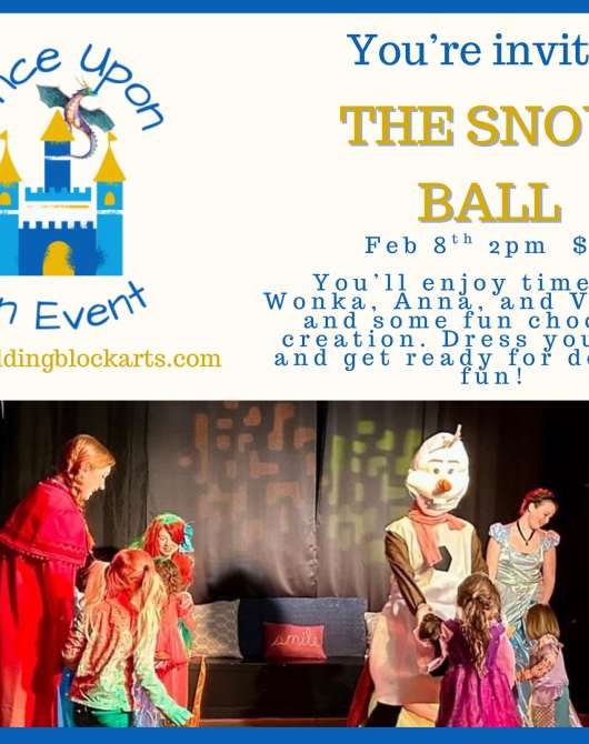 Snow Ball Character Experience