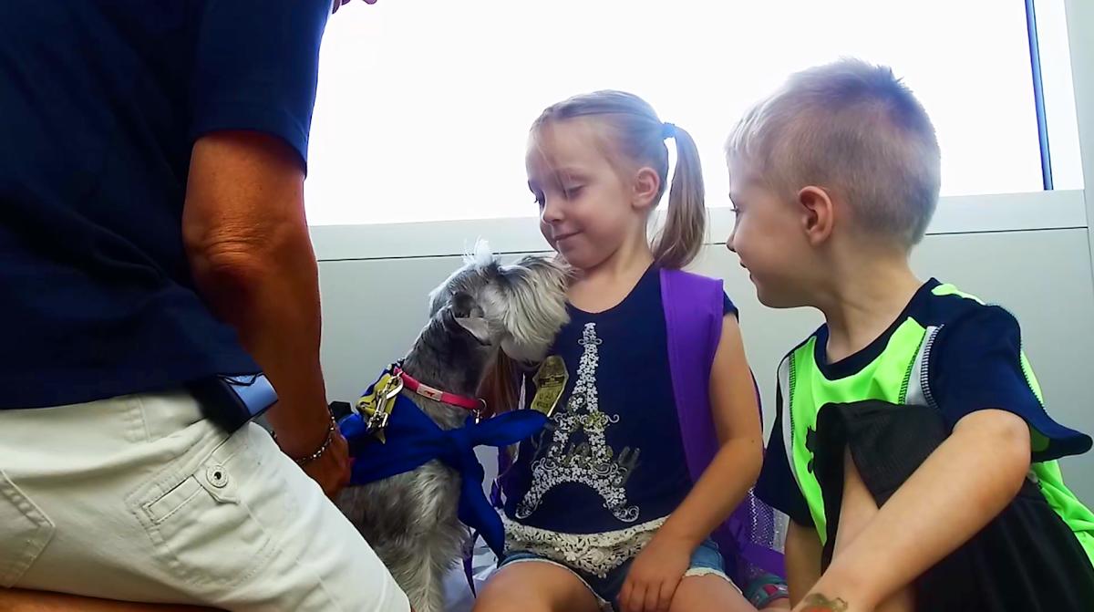 Our Doggone Caring Airport