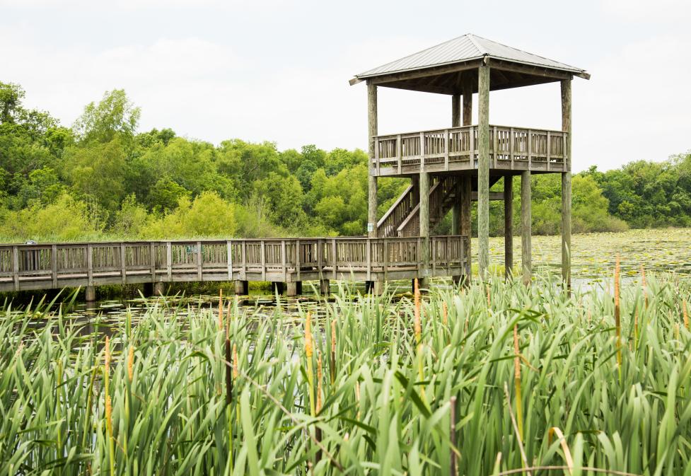 Cullinan Park