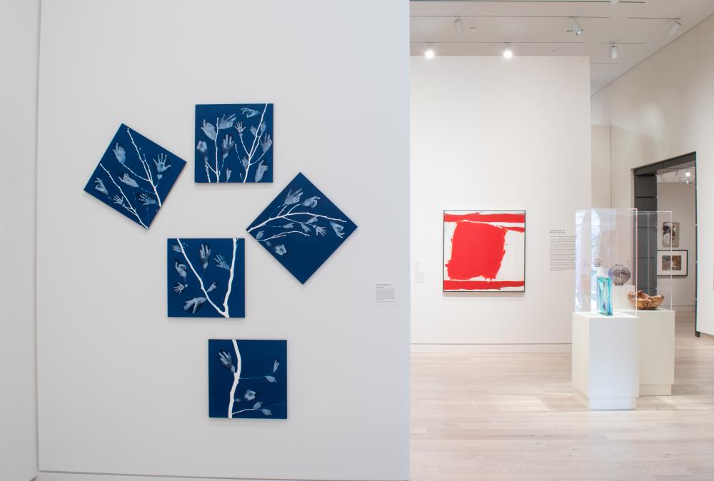 The new Asheville Art Museum opened in November 2019