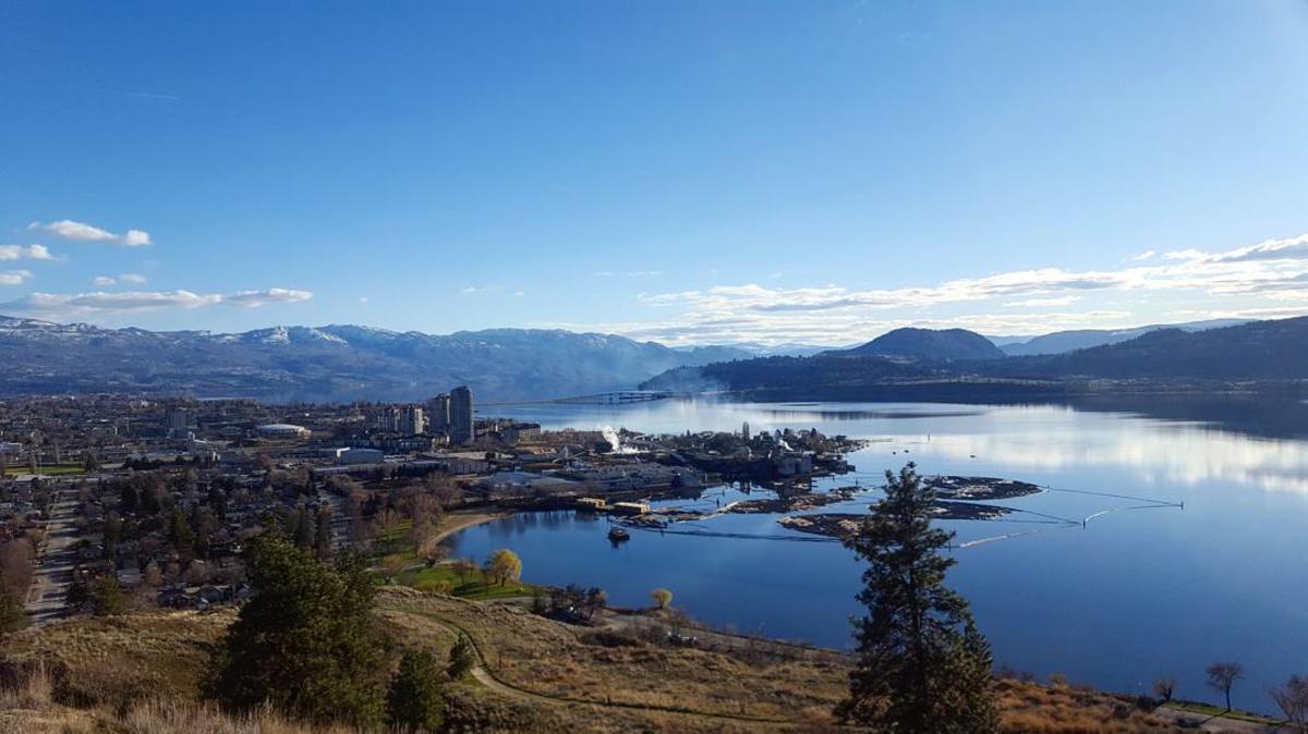 Knox Mountain Hike- View of Downtown Kelowna