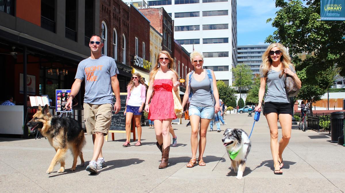 Family walking dogs in Market Square In Knoxville, TN