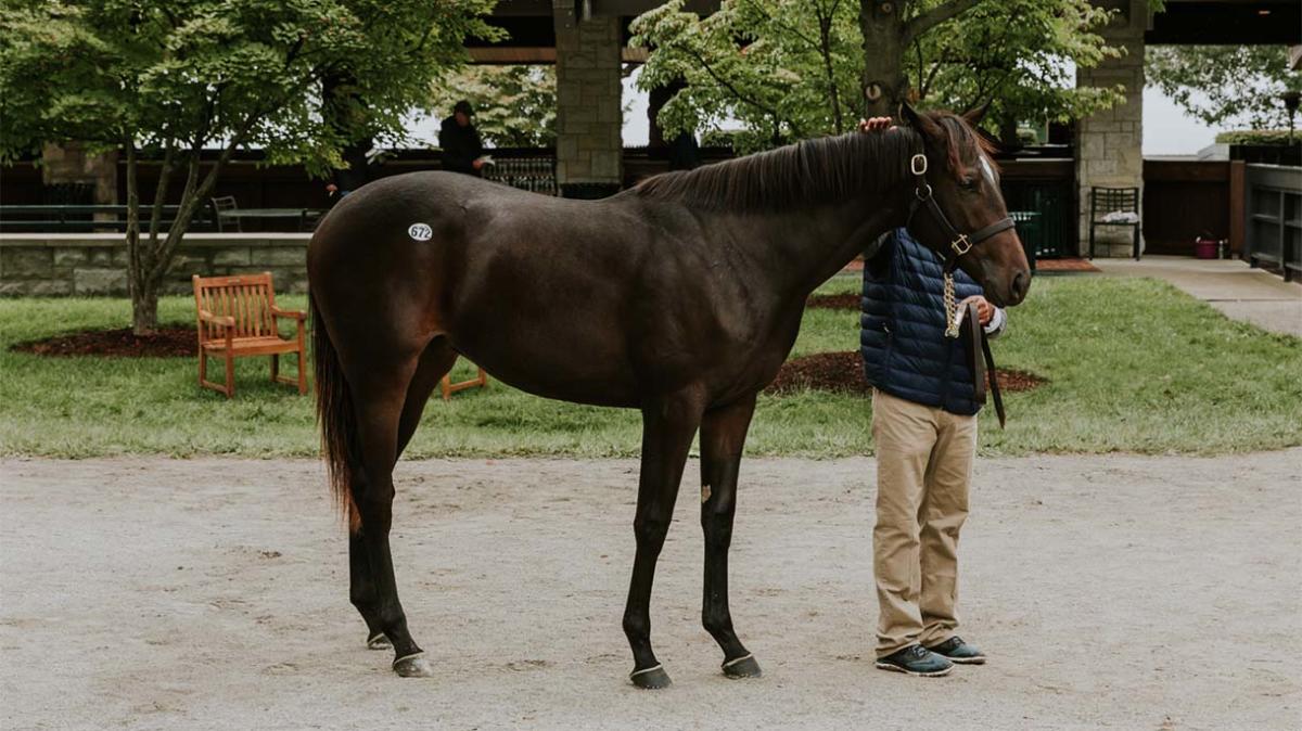 keeneland-yearling-sale-lexington-kentucky-5small