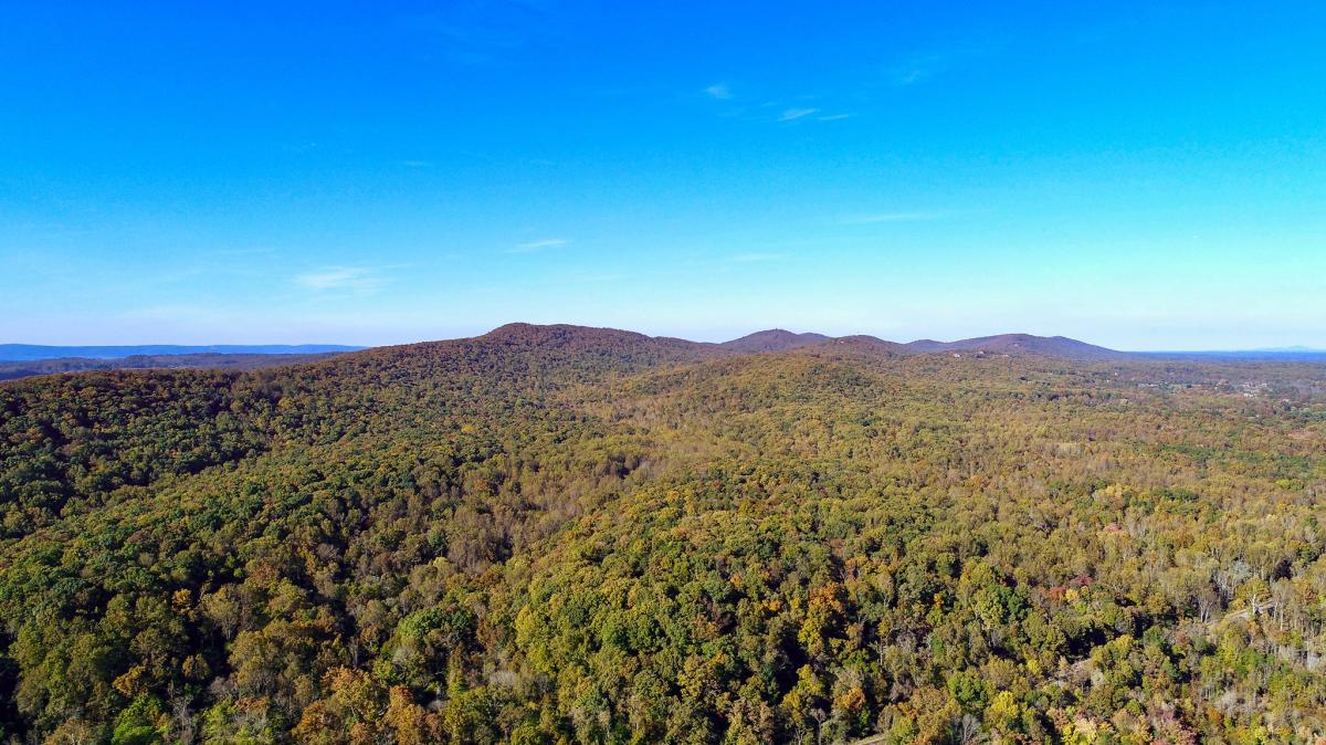 Bull Run Mountains Natural Area Preserve