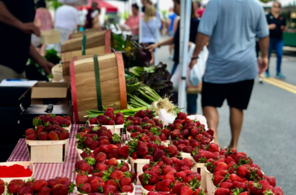 Baskets of fresh strawberries displayed at a vendor booth at the Dublin Market