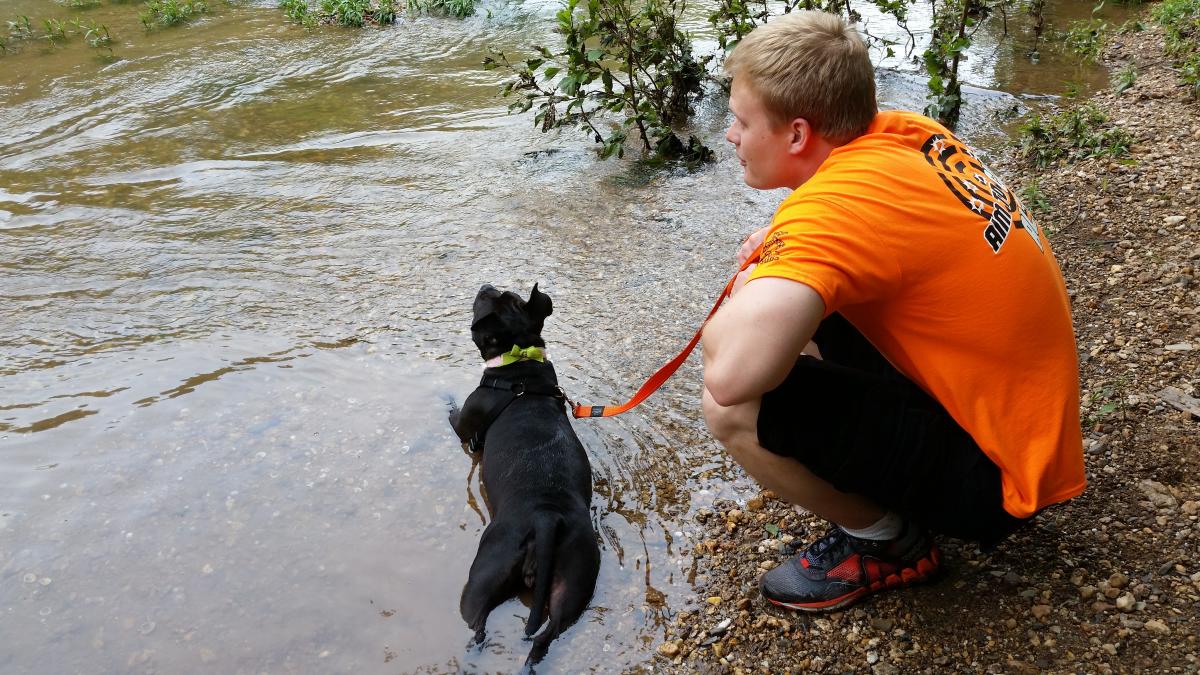 Dog playing in the water at Cunningham Falls