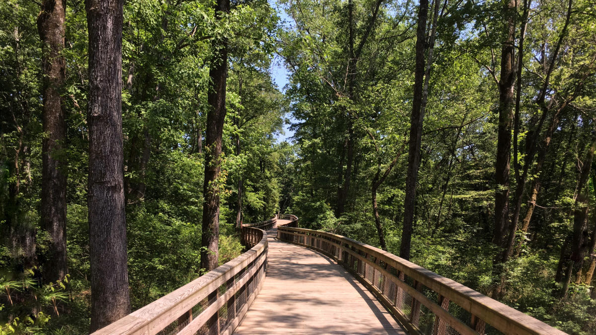 Walnut Creek Trail