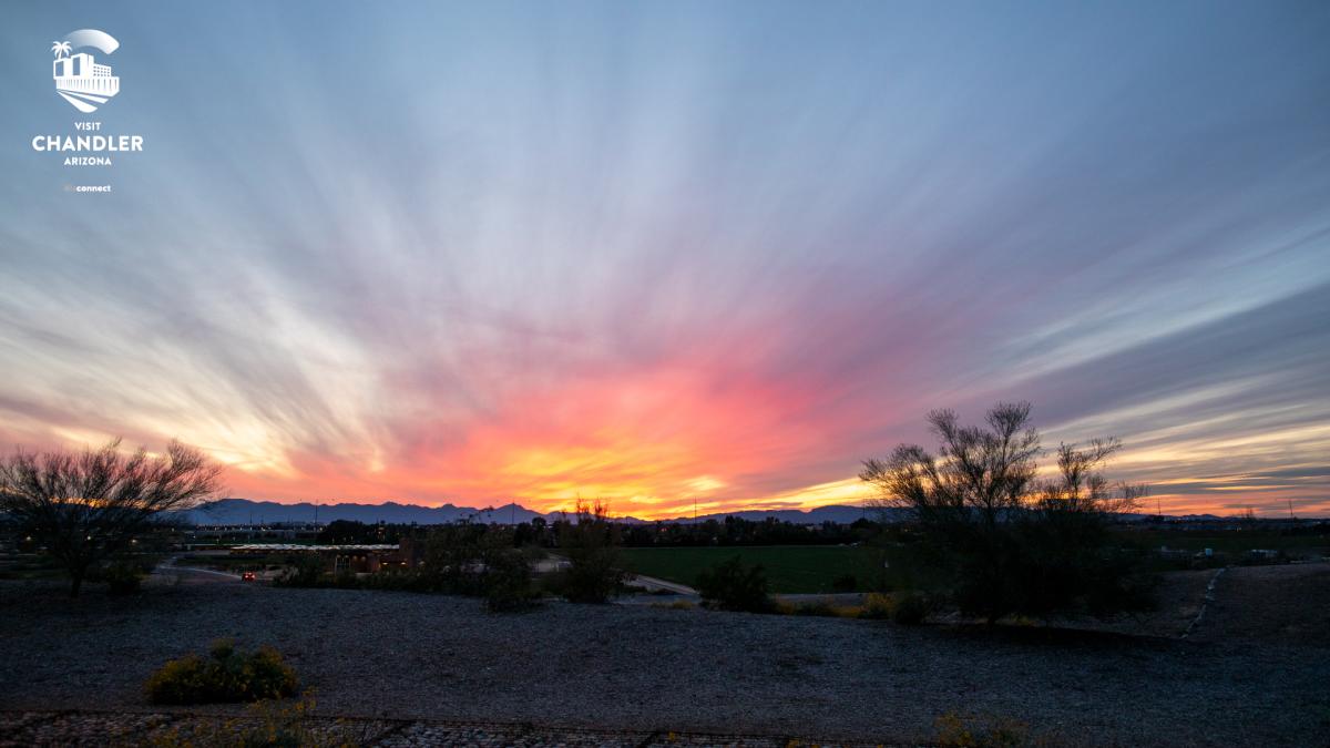 Virtual Backgrounds Of Chandler Arizona Murals Sunsets
