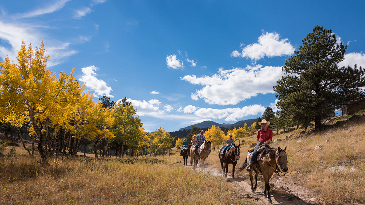 5 People on Horseback Riding Along a Trail