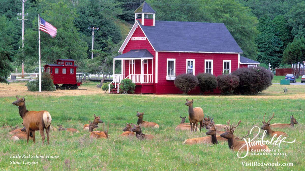 Zoom Red Schoolhouse