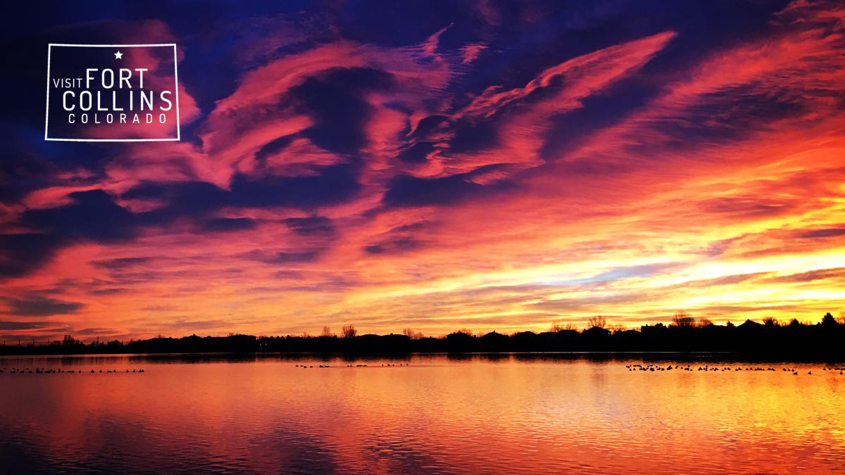 virtual warren lake sunset white logo